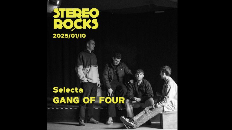 Stereorocks-Selecta-Gang Of Four